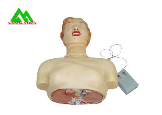 China Human Body Medical Teaching Models for Cardiopulmonary Resuscitation Practices supplier