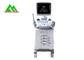 Clinic Medical Ultrasound Equipment Diagnostic Ultrasound Scanner Machine supplier