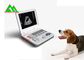 Portable Full Digital Veterinary Ultrasound Scanner For Cattle Caw Dog Animal supplier