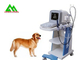 Portable Full Digital Veterinary Ultrasound Scanner For Cattle Caw Dog Animal supplier