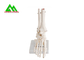 Human Joint Model For Medical Teaching 11cmx4cm Corrosion Resistance supplier
